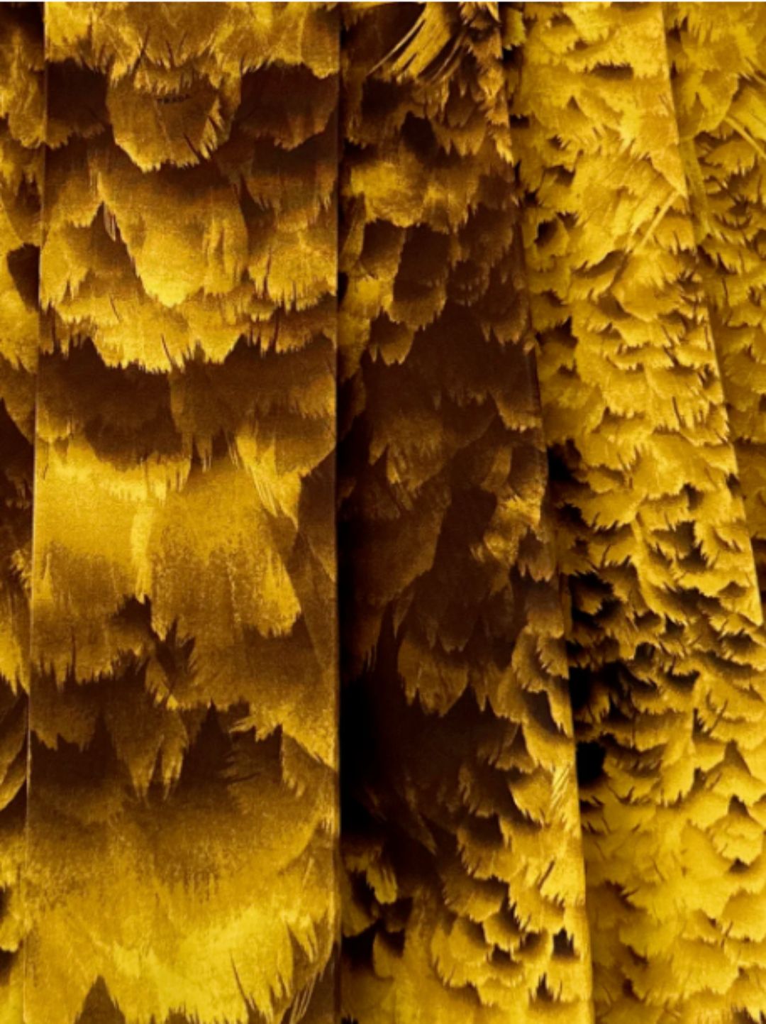 Thumbnail c473ce52-7dc3-4ab6-b05f-d53365f88161