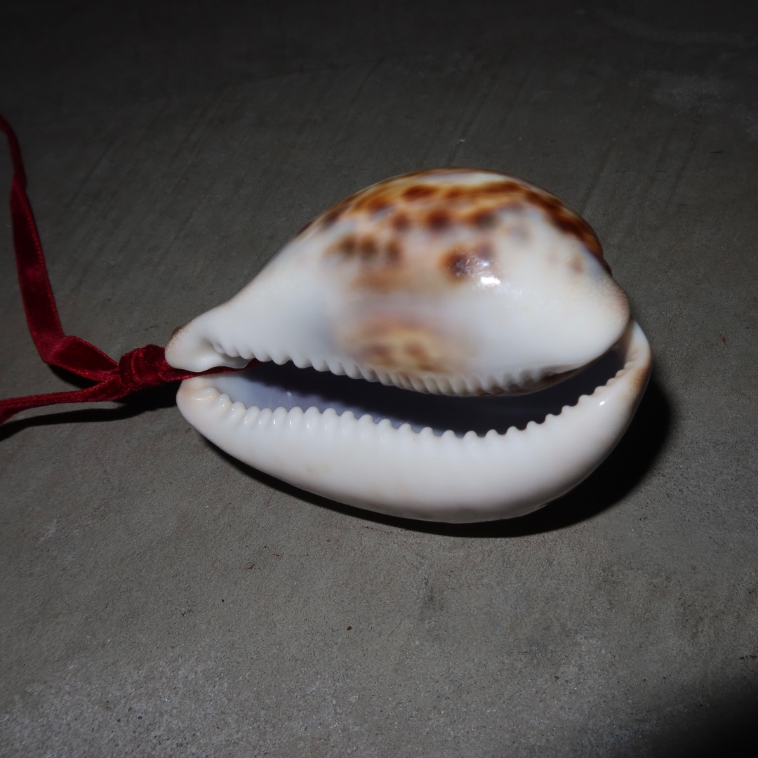 Thumbnail c730b20a-8506-4bbf-a55f-51b837f21932