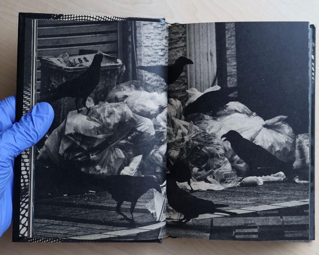 Thumbnail 8ae95f3e-e78d-4459-8353-93ee086ed187