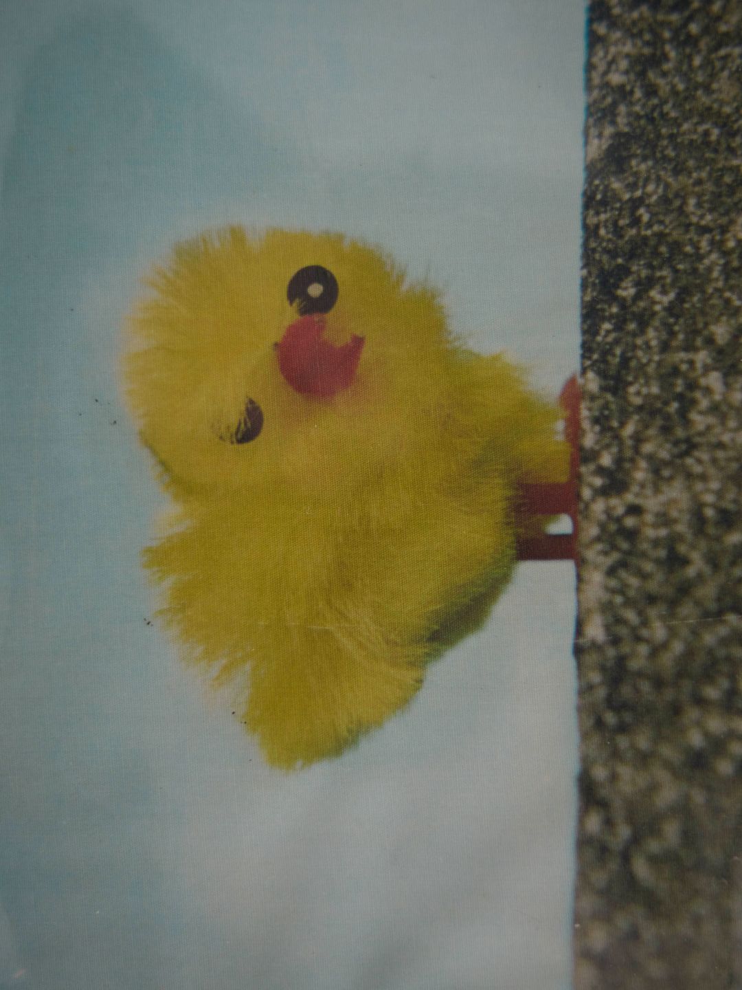 Thumbnail 27e9af57-bdf6-432f-b811-cd16282a11e0